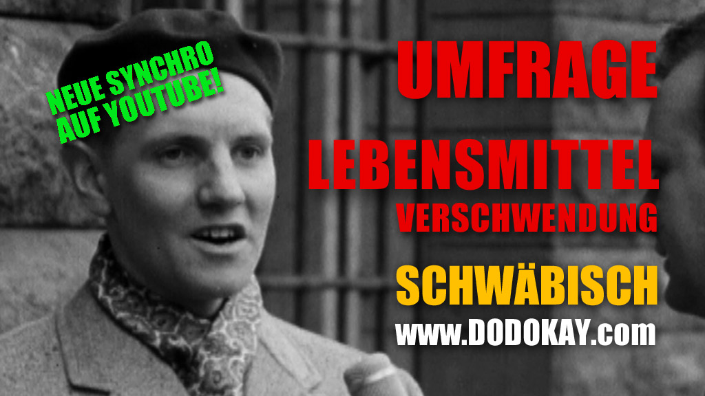Dodokay Umfrage Lebensmittel Lebensmittelverschwendung Lebensmittelretter Dodokay Umfrage Lebensmittel Lebensmittelverschwendung Lebensmittelretter