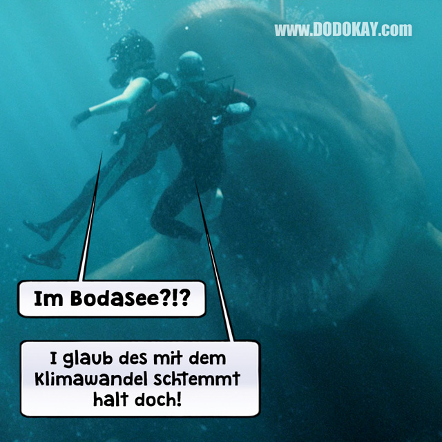 Dodokay The Meg Haifisch Bodensee Tauchen Klimawandel Dodokay The Meg Haifisch Bodensee Tauchen Klimawandel